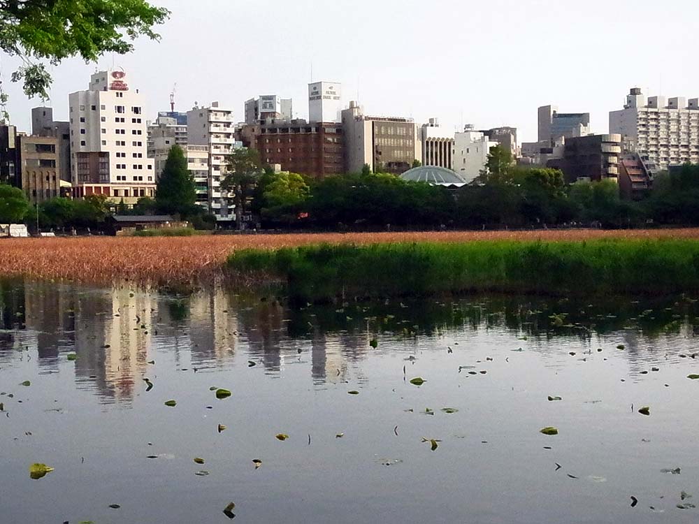 Tokyo